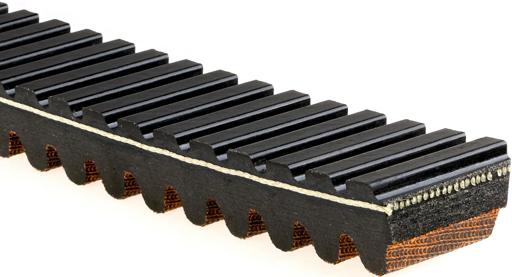 G-Force & Recreation Belts