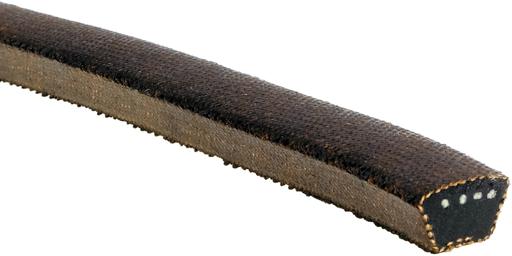 Lawn and Garden Belt
