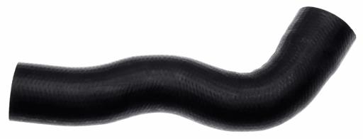 Molded Coolant Lower Hose