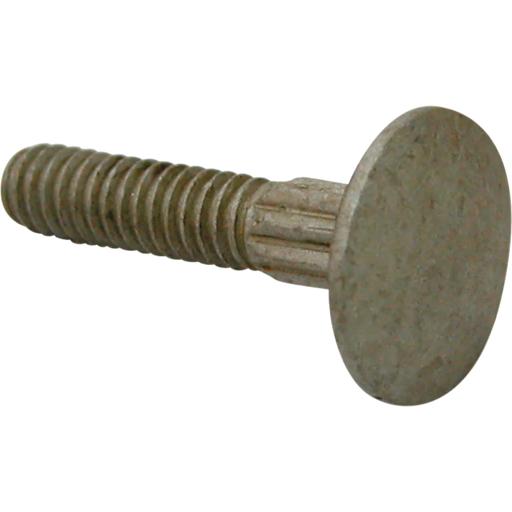 Whiting - WHI10.1003.8 - 10.1003.8