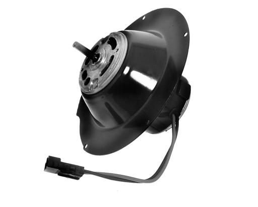 Flange Motor
