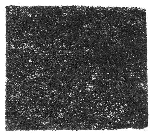 Bergstrom - BGS3113001 - 3113001