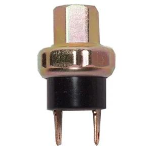 Interrupteurs binaires (Binary Switches)