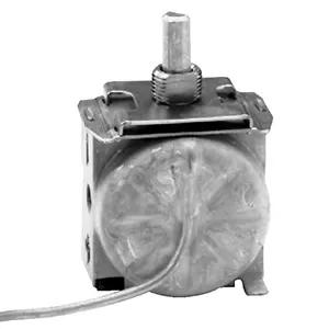 Interrupteur thermostatique à bouton