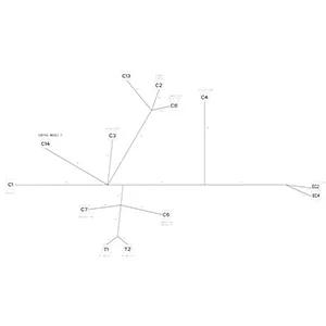 Bergstrom - BGS4480075 - 4480075