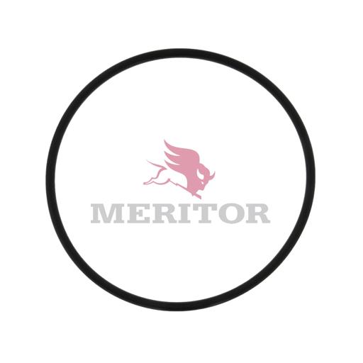 Meritor - ROCR005500 - R005500
