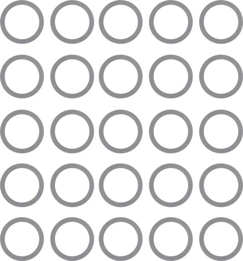 Spicer - SPI30215-2 - 30215-2