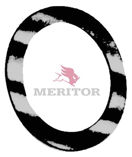 Meritor - ROCR627031 - R627031
