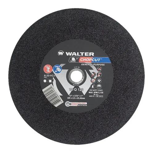 Walter Surface Technologies - WST10Q123 - 10Q123