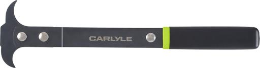 Carlyle - CSSCSEALPLLR - CSEALPLLR