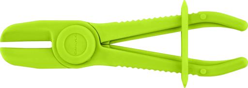 Carlyle - CSSCHPOP1624 - CHPOP1624