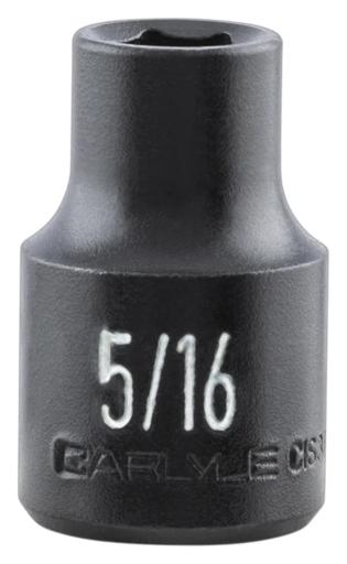 Carlyle - CPWCIS3810 - CIS3810