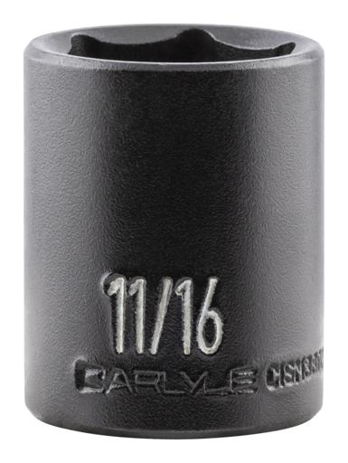 Carlyle - CPWCISM38022 - CISM38022