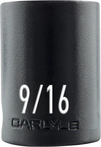 Carlyle - CPWCIS3818 - CIS3818