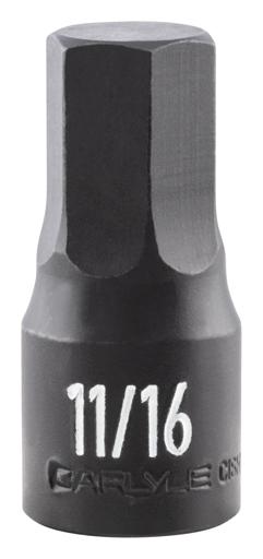 Carlyle - CPWCISH12022 - CISH12022