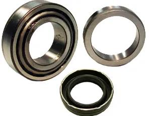 SKF - SKFWKH131 - WKH131