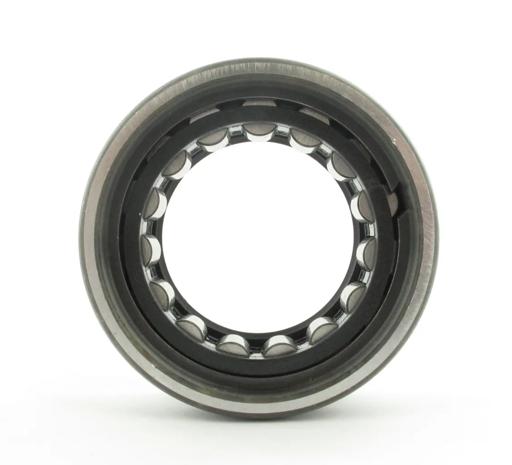 SKF - SKFR1563 - R1563
