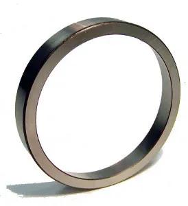 SKF - SKFNP064306 - NP064306