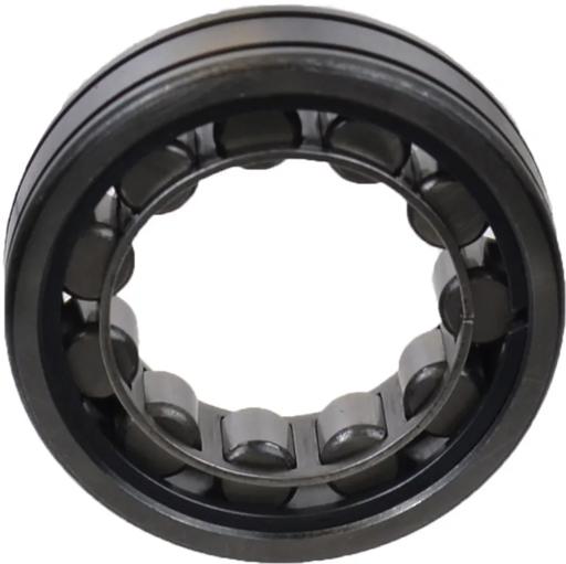 SKF - SKFM1305GGTV1 - M1305GGTV1
