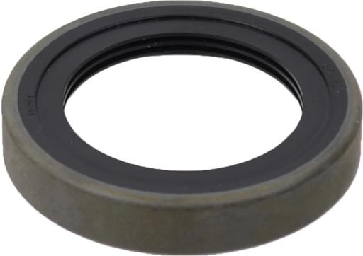 SKF - SKF16064 - 16064