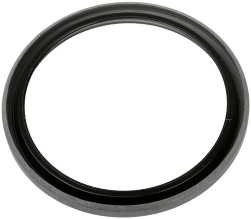 SKF - SKF19733 - 19733