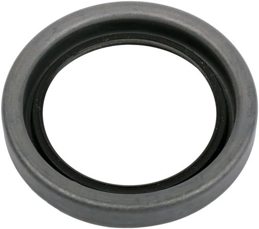 SKF - SKF19834 - 19834
