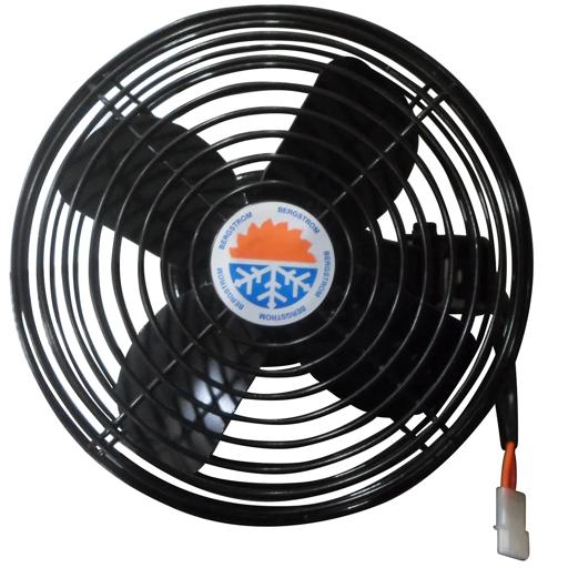 Bergstrom - BGS1299036 - 1299036