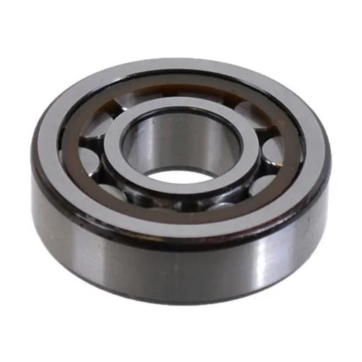 SKF - SKFNJ304-ECP - NJ304-ECP