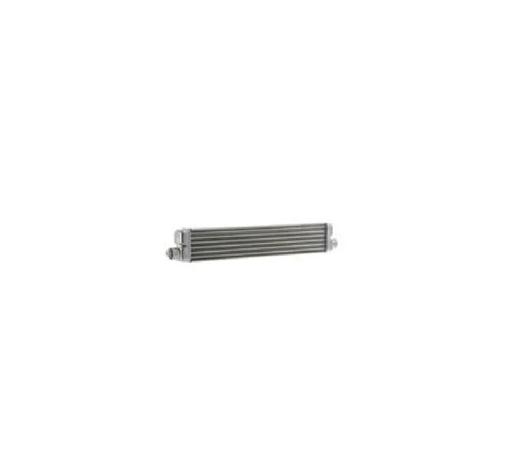 Bergstrom - BGS1675005 - 1675005