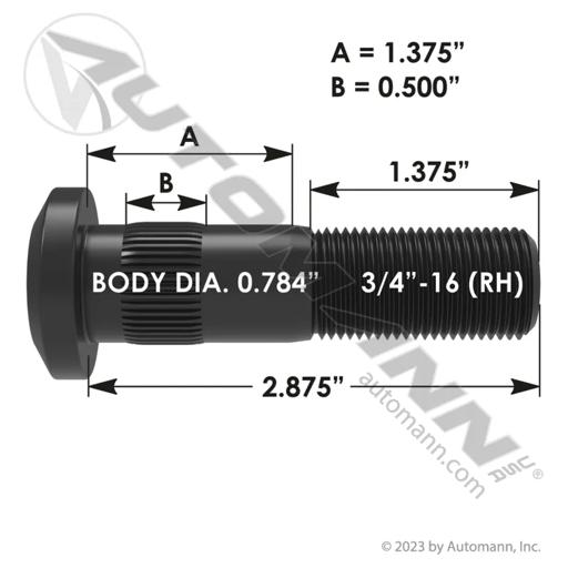 Automann - MZF201.6043R - 201.6043R