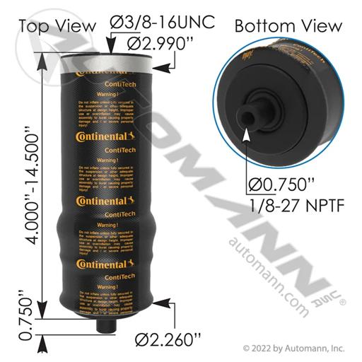 Automann - MZH569.CT69437 - 569.CT69437
