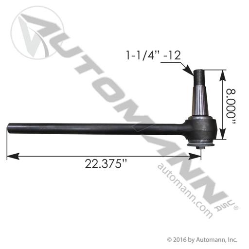 Automann - MZLTMRU681E - TMRU681E