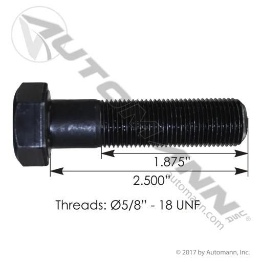 Automann - MZNF580212GR8 - F580212GR8