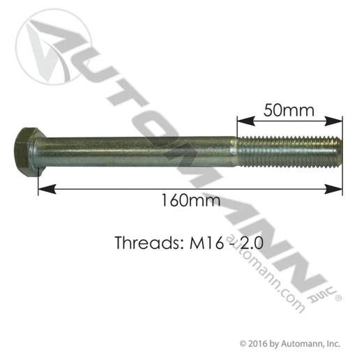 Automann - MZNM5311 - M5311