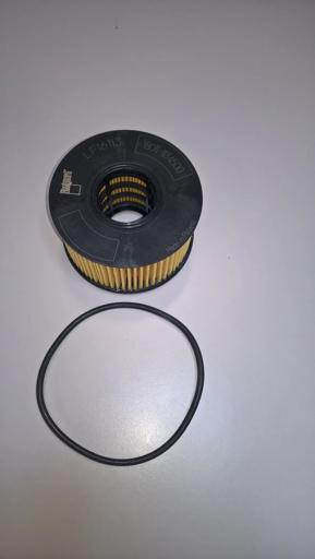 Fleetguard - FLGLF16113 - LF16113
