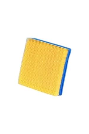 Fleetguard - FLGAF25305 - AF25305