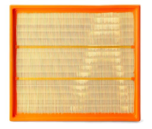 Fleetguard - FLGAF25306 - AF25306