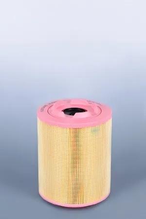 Fleetguard - FLGAF25241 - AF25241