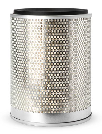 Fleetguard - FLGAF25087 - AF25087