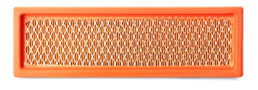 Fleetguard - FLGAF1003 - AF1003