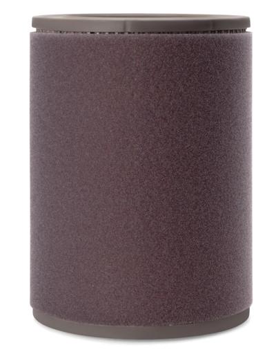 Fleetguard - FLGAF4539 - AF4539