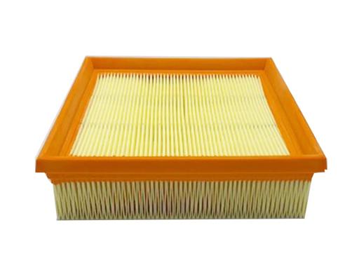 Fleetguard - FLGAF56085 - AF56085
