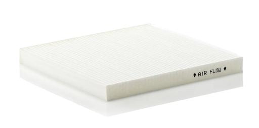 Fleetguard - FLGAF56087 - AF56087