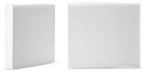Fleetguard - FLGAF56055 - AF56055