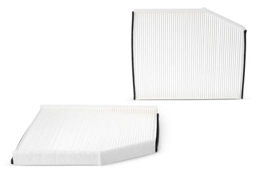 Fleetguard - FLGAF56065 - AF56065