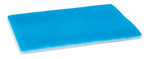 Fleetguard - FLGAF55890 - AF55890