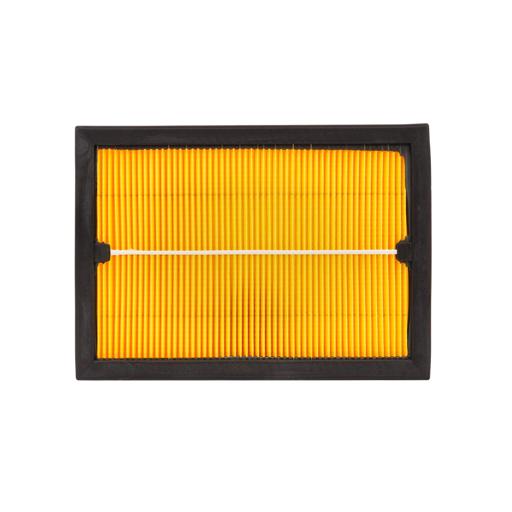Fleetguard - FLGAF56026 - AF56026
