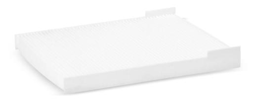 Fleetguard - FLGAF55831 - AF55831