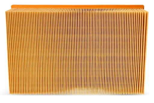 Fleetguard - FLGAF25841 - AF25841