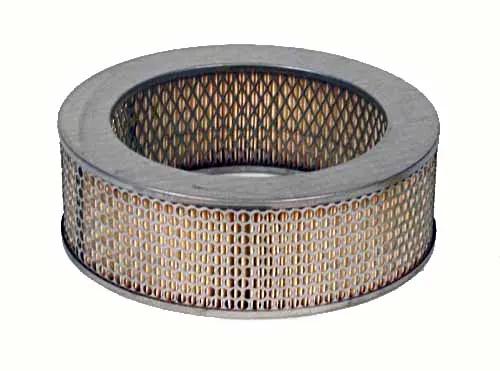 Fleetguard - FLGAF25601 - AF25601